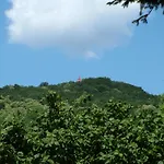 Gereben *