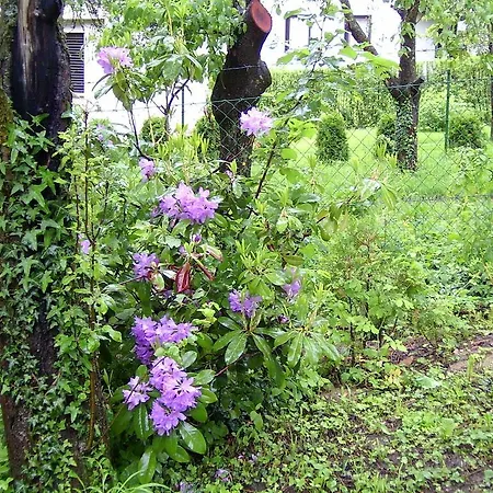 Homestay szállás Gereben Velem