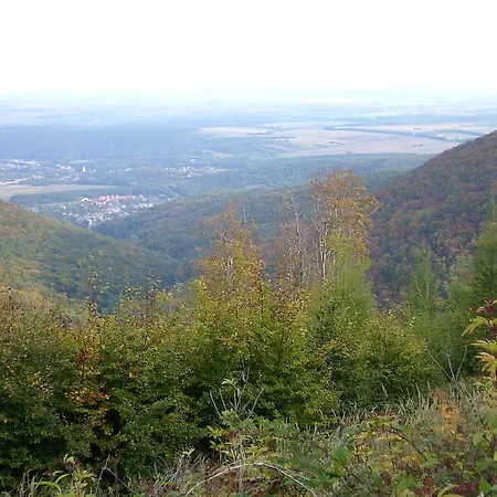 Gereben