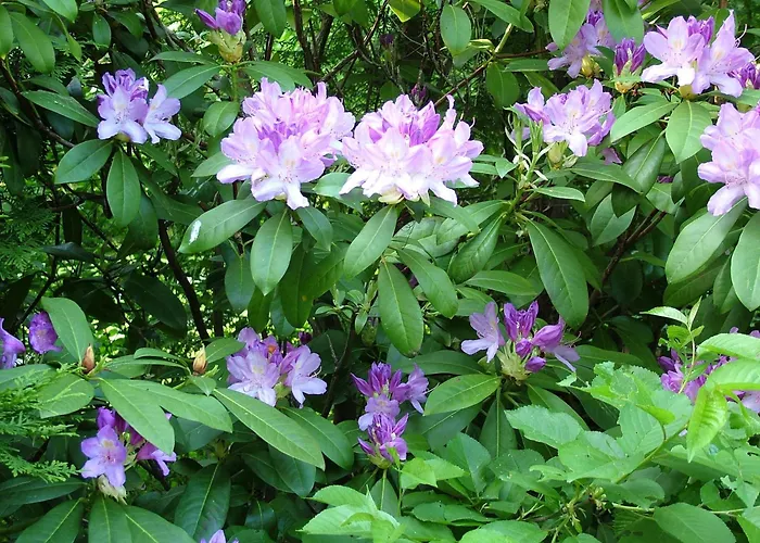 Rum i privatbostad Gereben