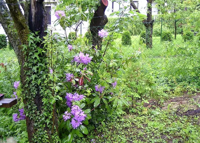 Rum i privatbostad Gereben Velem