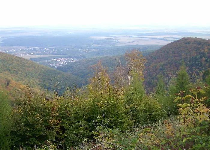 Gereben
